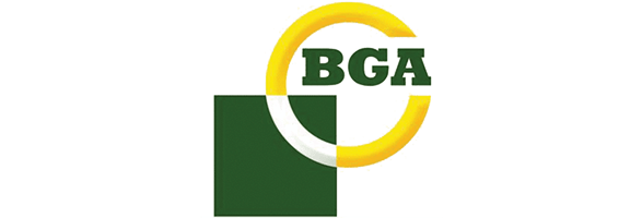 018_bga 018_bga